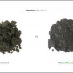 Behandlung_von_Biomasse_klarschlamm