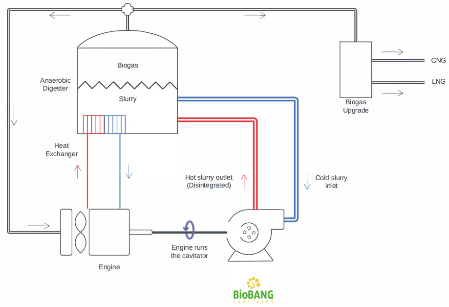 BioBANG-coogeneratore