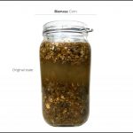 BioBANG_corn_3 BioBANG_corn_3