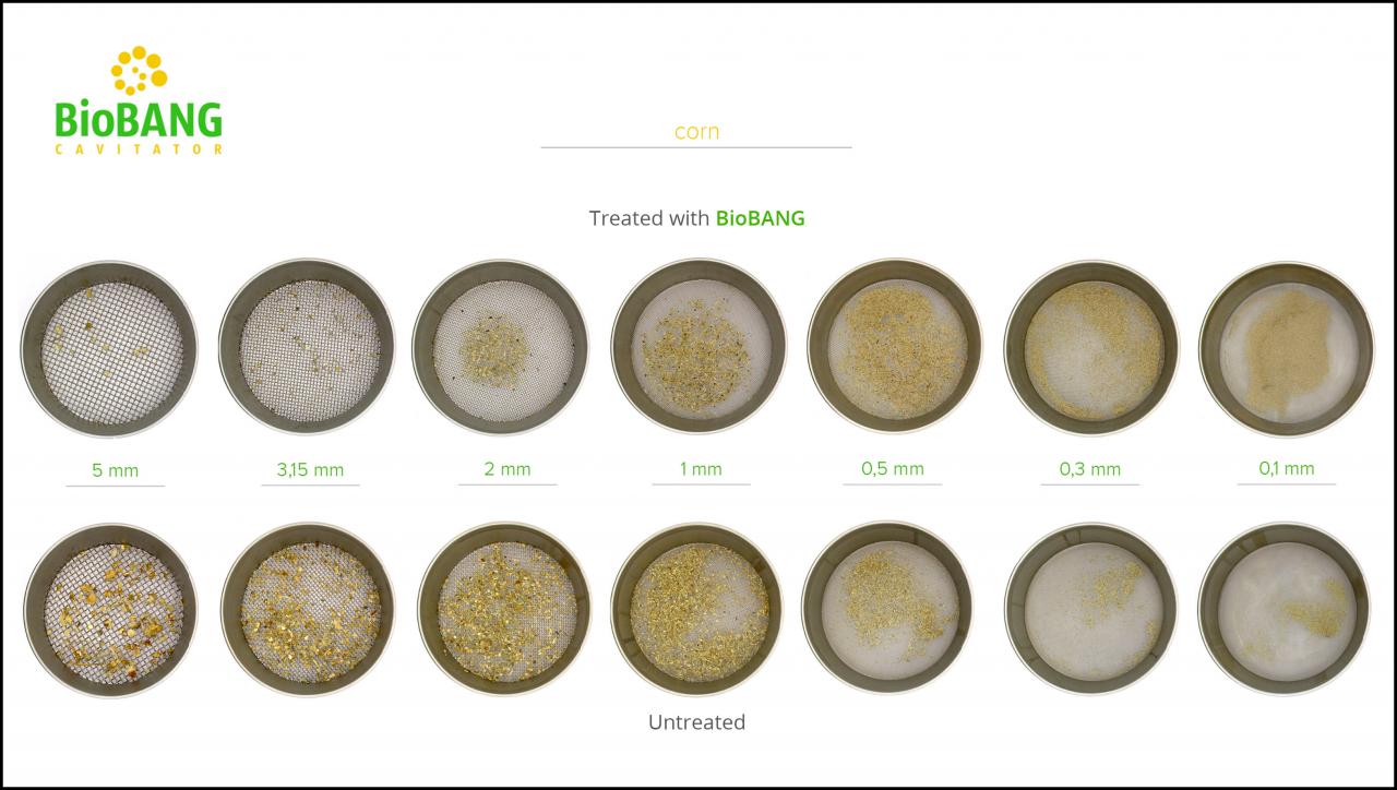 BioBANG_corn_8 BioBANG_corn_8