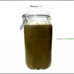 BioBANG_corn_da_5