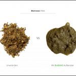 BioBANG_mais_de_2 BioBANG_mais_de_2