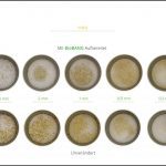 BioBANG_mais_de_7 BioBANG_mais_de_7