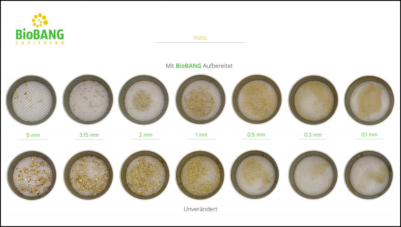 BioBANG_mais_de_7 BioBANG_mais_de_7