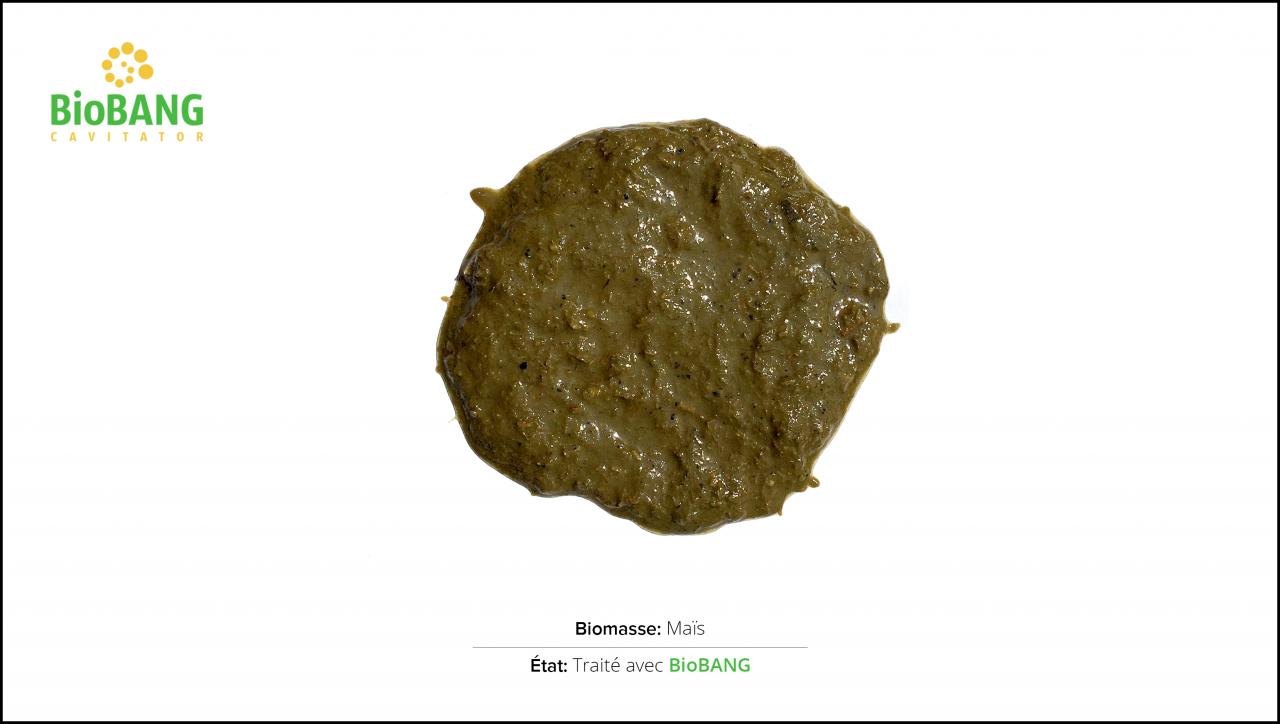 BioBANG_mais_fr_1 BioBANG_mais_fr_1