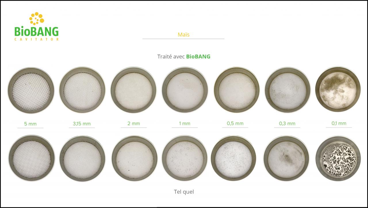 BioBANG_mais_fr_7 BioBANG_mais_fr_7