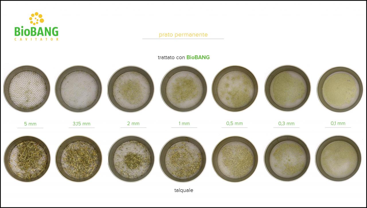 BioBANG_pratopermanente_7_it BioBANG_pratopermanente_7_it