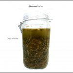 biomass-test-barley-5 biomass-test-barley-5