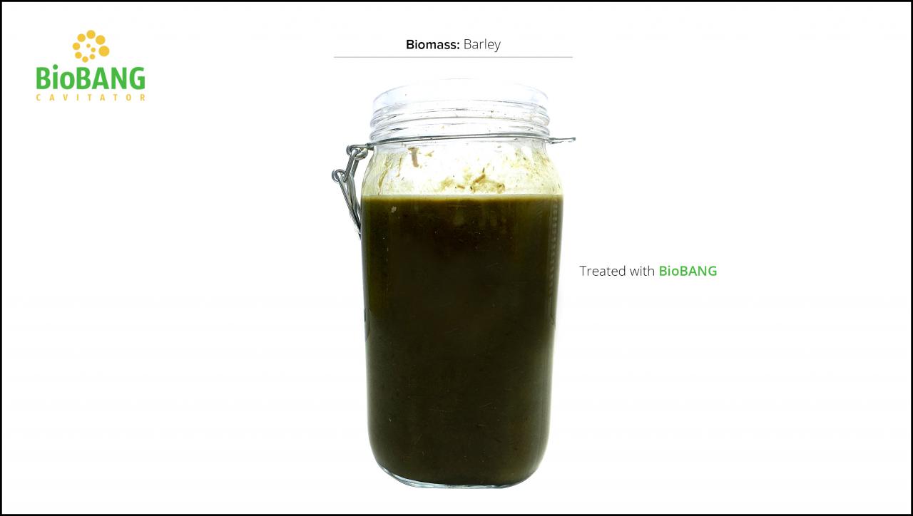 biomass-test-barley-6 biomass-test-barley-6