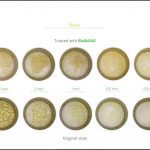 biomass-test-barley-8 biomass-test-barley-8