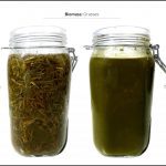 biomass-test-grasses_4 biomass-test-grasses_4