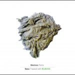 biomass-test-pasta-2 biomass-test-pasta-2