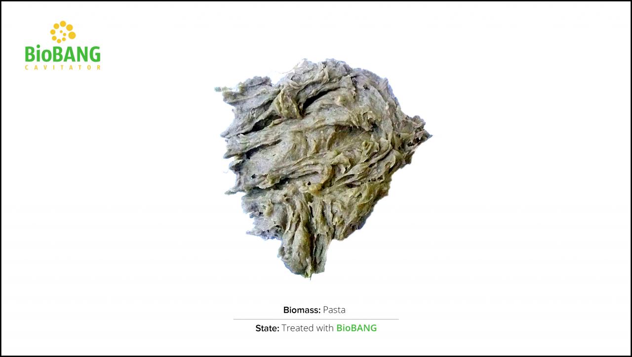 biomass-test-pasta-2 biomass-test-pasta-2