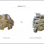 biomass-test-pasta-3 biomass-test-pasta-3