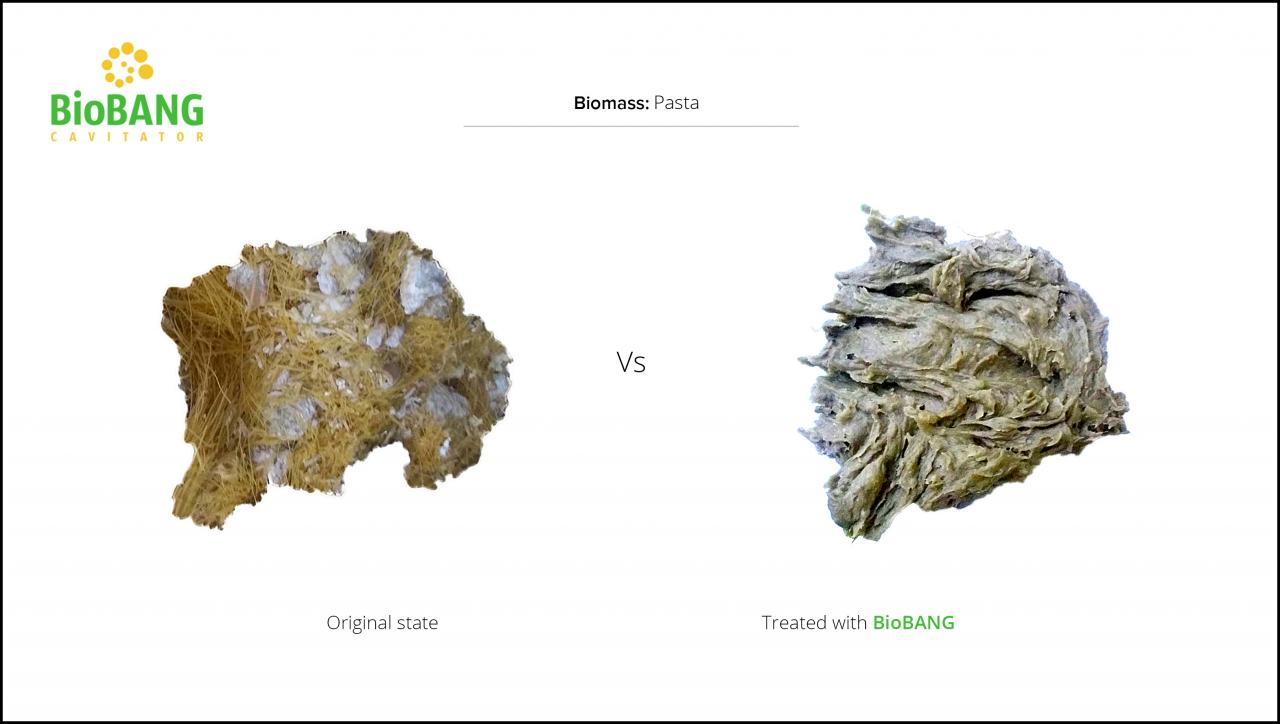 biomass-test-pasta-3 biomass-test-pasta-3