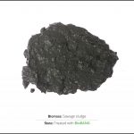 biomass-test-sawage-sludge-2 biomass-test-sawage-sludge-2