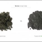 biomass-test-sawage-sludge-3