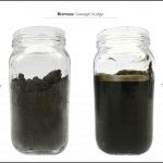 biomass-test-sawage-sludge-4 biomass-test-sawage-sludge-4