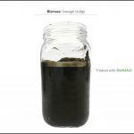 biomass-test-sawage-sludge-6 biomass-test-sawage-sludge-6