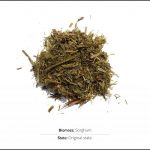 biomass-test-sorghum_1 biomass-test-sorghum_1