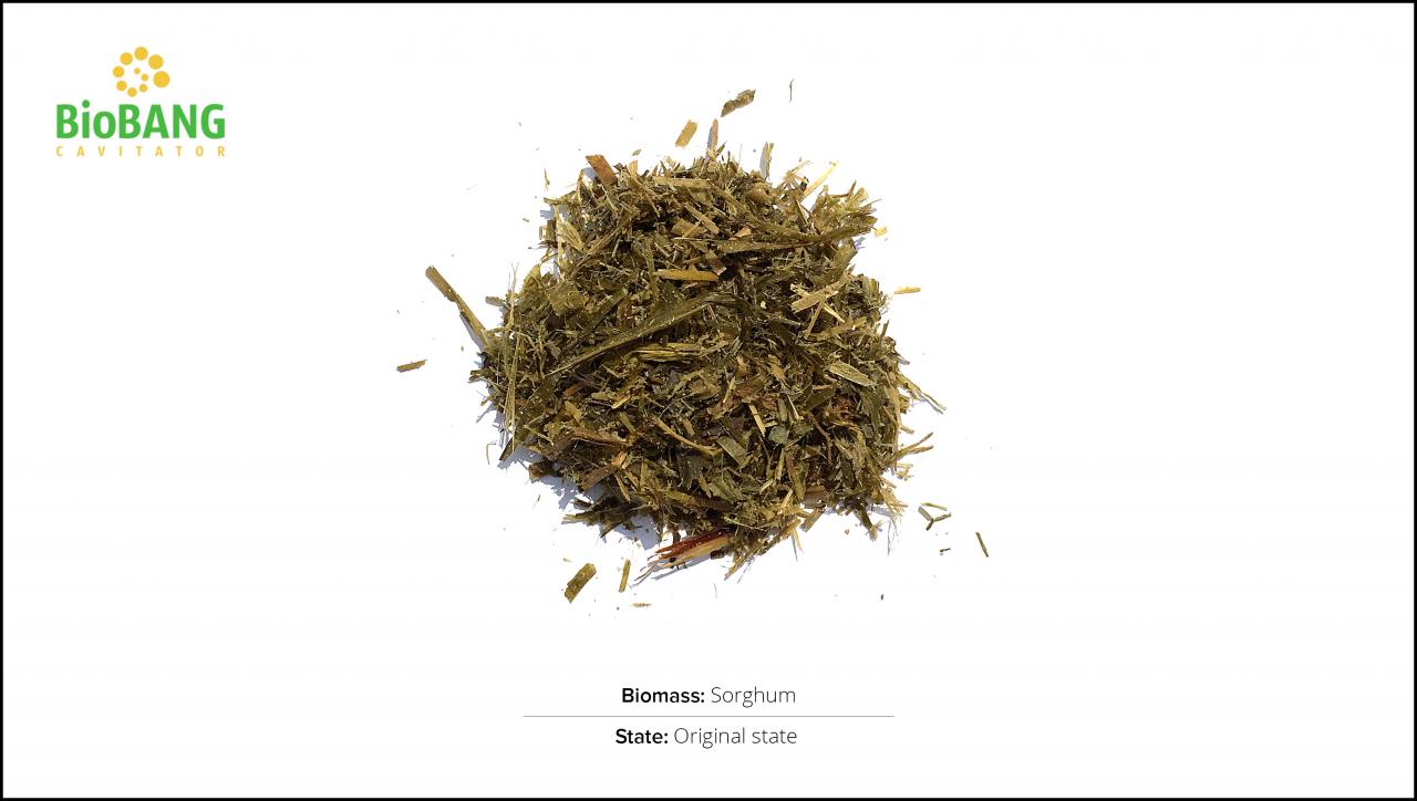 biomass-test-sorghum_1 biomass-test-sorghum_1