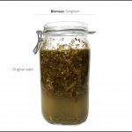 biomass-test-sorghum_5 biomass-test-sorghum_5