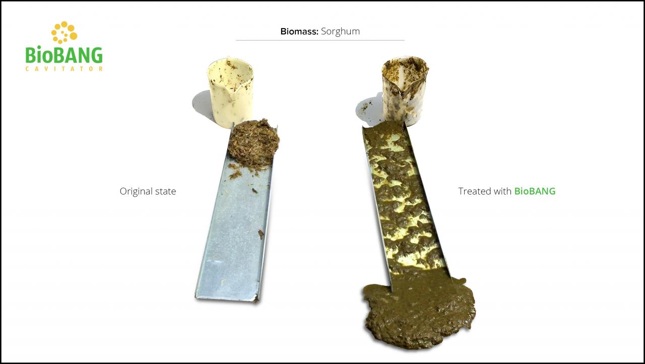 biomass-test-sorghum_7 biomass-test-sorghum_7