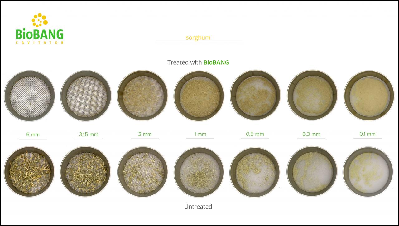 biomass-test-sorghum_8 biomass-test-sorghum_8