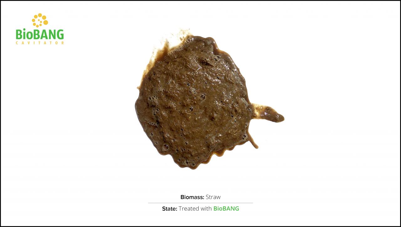 biomass-test-straw_02 biomass-test-straw_02