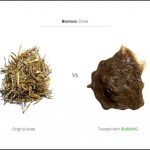 biomass-test-straw_03 biomass-test-straw_03