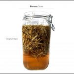 biomass-test-straw_05 biomass-test-straw_05