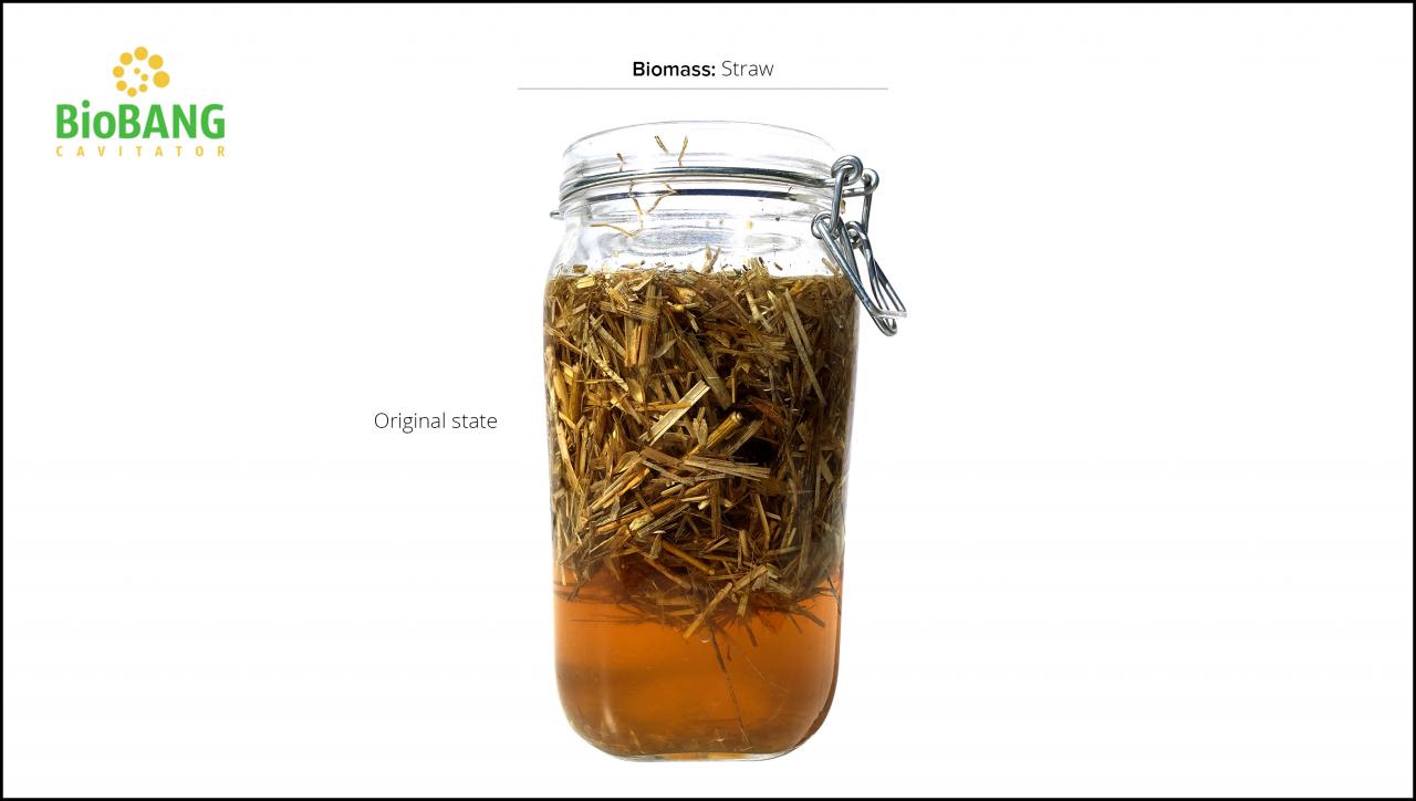 biomass-test-straw_05 biomass-test-straw_05
