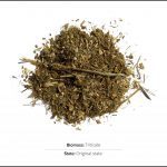 biomass-test-triticale_01 biomass-test-triticale_01