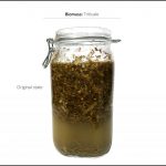 biomass-test-triticale_05 biomass-test-triticale_05