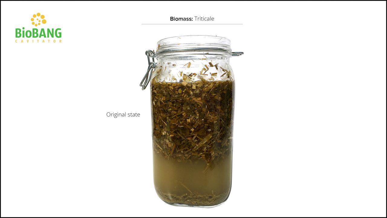 biomass-test-triticale_05 biomass-test-triticale_05