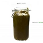 biomass-test-triticale_06 biomass-test-triticale_06