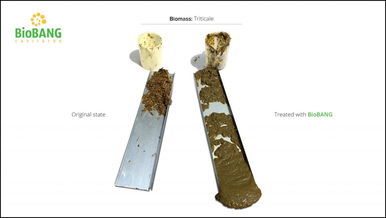 biomass-test-triticale_07 biomass-test-triticale_07