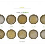 biomass-test-triticale_08 biomass-test-triticale_08