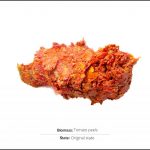 biomass-tomato-peels-1 biomass-tomato-peels-1