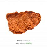 biomass-tomato-peels-2 biomass-tomato-peels-2