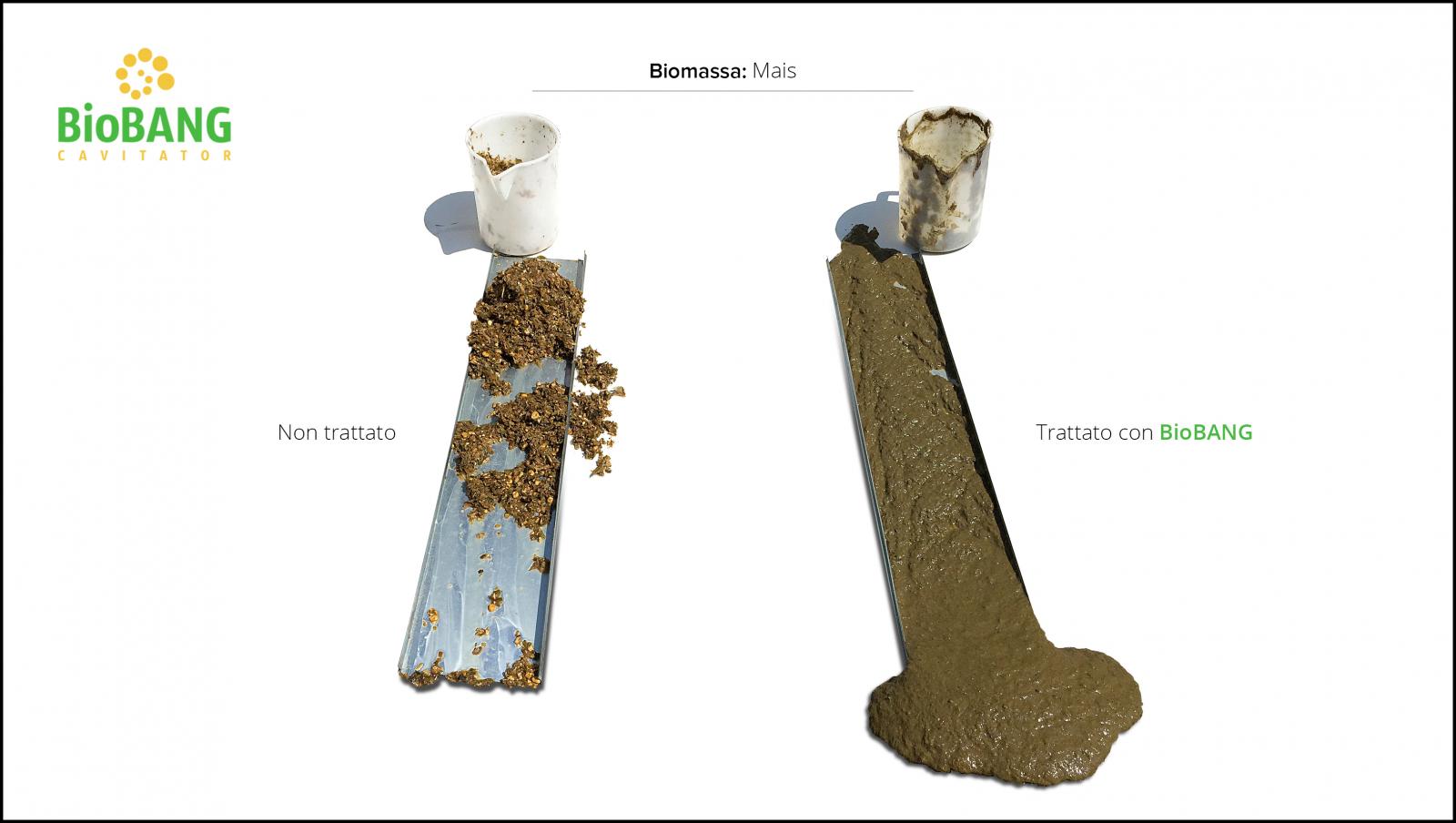 biomassa-mais-viscosita-dinamica biomassa-mais-viscosita-dinamica