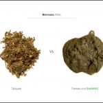biomassa-mais-vs-trattato