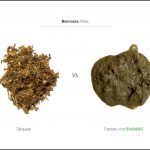 biomassa-mais-vs-trattato biomassa-mais-vs-trattato