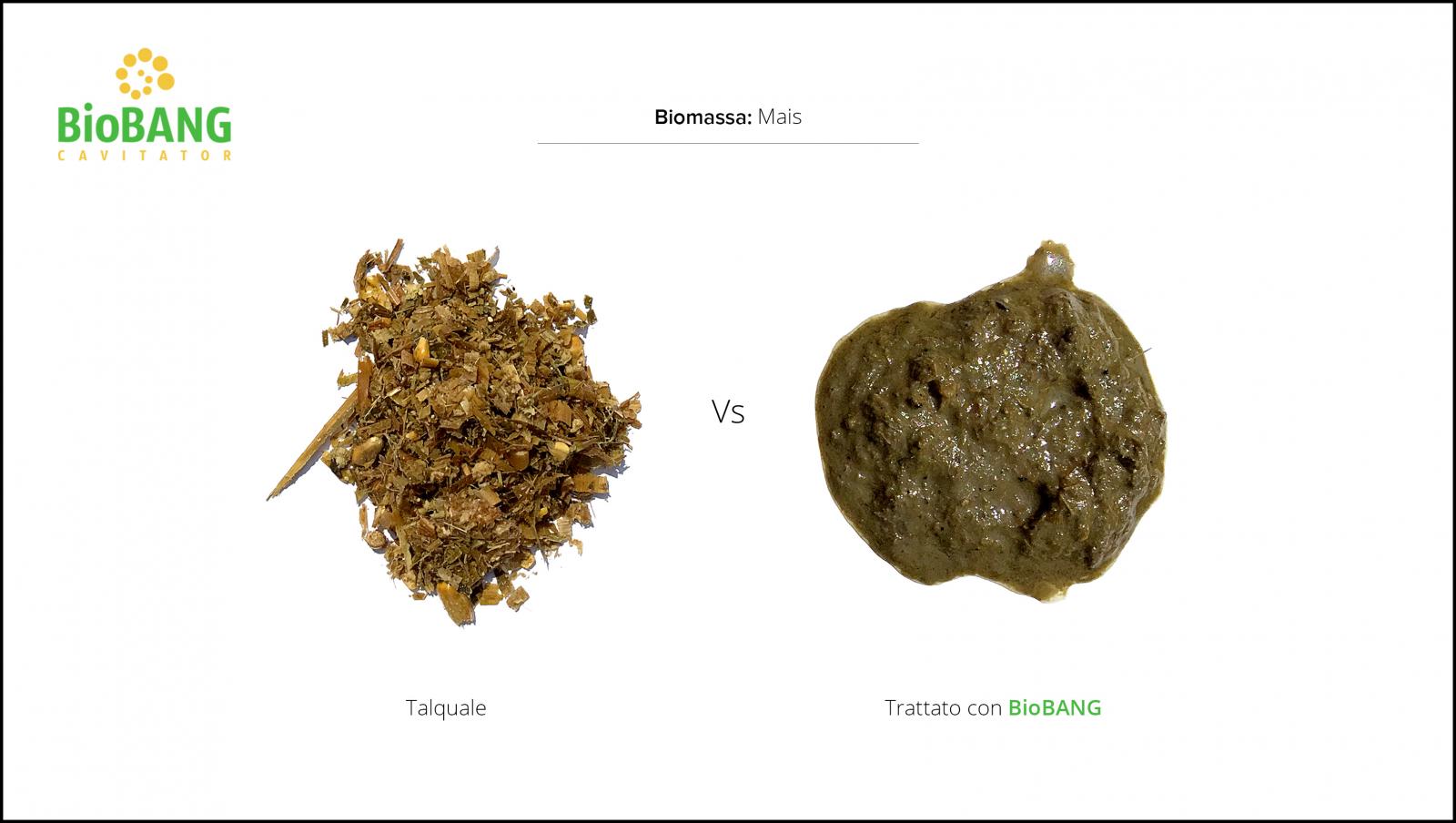 biomassa-mais-vs-trattato biomassa-mais-vs-trattato