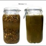 biomassa-mais-vs-trattato_contenitore