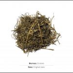 biomasse-test-græs_1