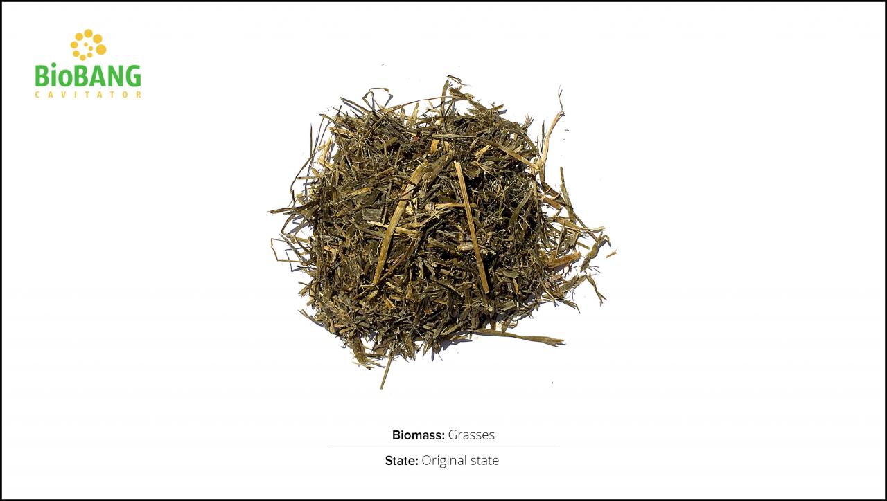 biomasse-test-græs_1