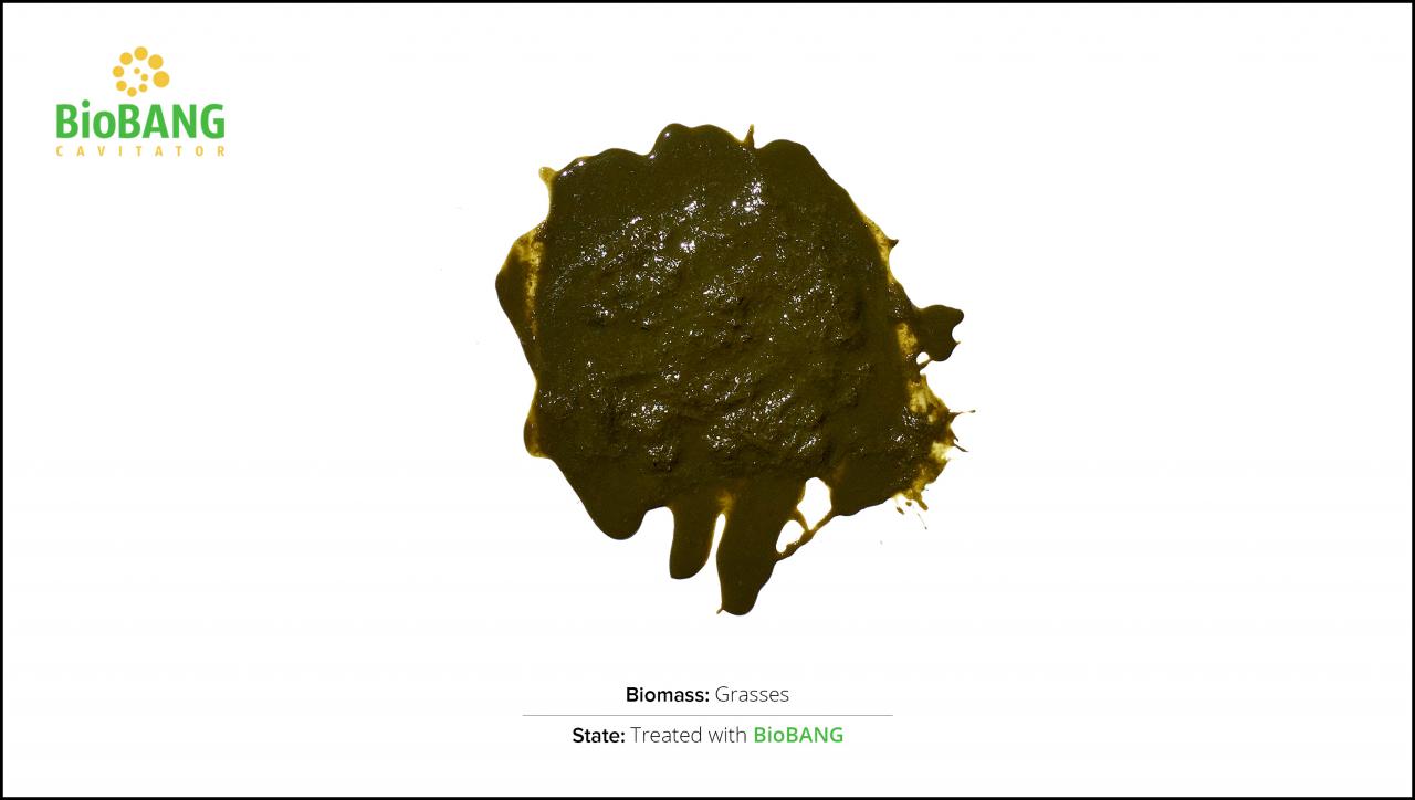 biomasse-test-græs_2
