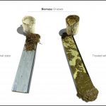 biomasse-test-græs_7