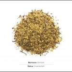 biomassen-test-gartenbau-saatgut-1 biomassen-test-gartenbau-saatgut-1